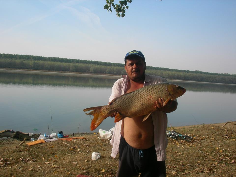 CONCURS LIKE-URI  - VOT PE FACEBOOK  - Gheorghita Viorel
11,6 kg
Dunare